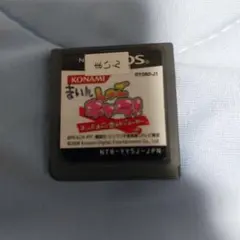 まいんしゃんどキャラ！ ニンテンドーDS本体のみ