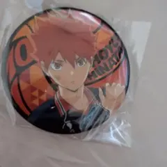 ハイキュー ラメキラ缶バッジ 日向翔陽