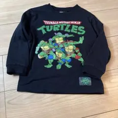 ブリーズ タートルズ 110