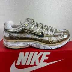 NIKE W P-6000 GLD 28cm IF1787-100