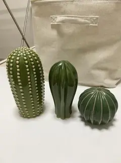 サボテン 置物