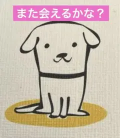 犬を愛する人へ届けたい 2冊セット
