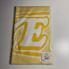 【IZ*ONE】スローガンタオル チェイェナ