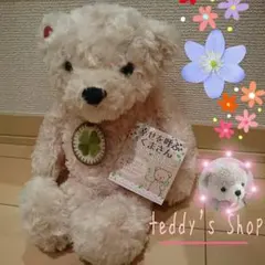 テディーベア　アイボリー