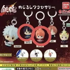 銀魂　めじるしアクセサリー　神楽　新八