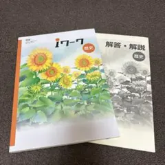 Item thumbnail for item feac0489-a079-4470-89e0-b49b62d91c26