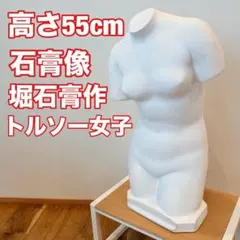 裸婦像 石膏トルソー - メルカリ