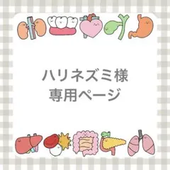 ハリネズミ様専用ページ