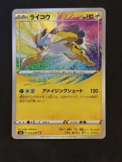 2026年最新】ライコウ アメイジング psa10の人気アイテム - メルカリ