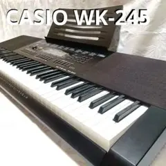 2025年最新】WK-245の人気アイテム - メルカリ