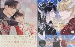 WonderGOO ノラと皇女と野良猫ハート 購入特典 ポストカード 黒木未知