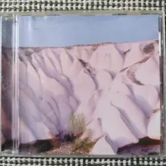 2025年最新】autechreの人気アイテム - メルカリ