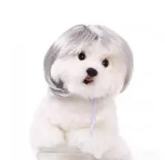 猫ウィッグ 犬ペットウィッグ ハロウィン wig コスプレ ウィッグ