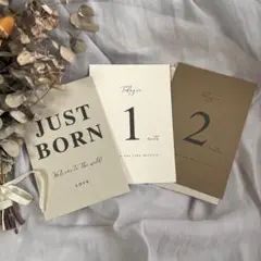 Item thumbnail for item b56a5350-8ccb-42bb-927e-a91243913cdc