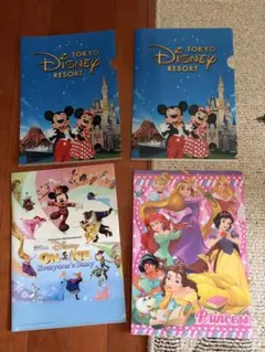 クリアファイル　TDR プリンセス　ミッキー　ミニー　ディズニーオンアイス