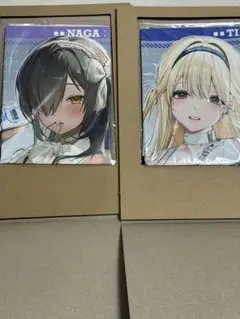 勝利の女神:NIKKE マルチクロス　コスチュームコレクション　ティア　ナガ