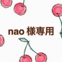 nao様 リクエスト 3点 まとめ商品