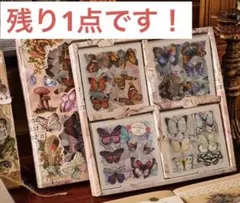 Item thumbnail for item 5bcc8e60-3190-4bfc-a3bf-cc5daad57c3b