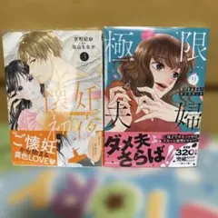 懐妊初夜～一途な社長は求愛の手を緩めない～3☆他1冊☆