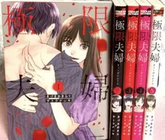 極限夫婦【1〜5巻】送料込★漫画