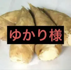 ゆかり様　京都山城産　朝掘り筍3kg