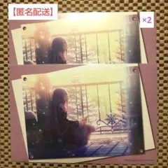 宵崎奏 アニメイト特典２枚