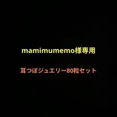 【mamimumemo様専用】耳つぼジュエリー80粒セット