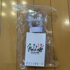 Hey! Say! JUMP ペンライト PULL UP