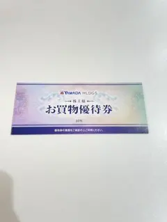 YAMADA電機 株主優待券 5000円分(500円×10枚) ヤマダデンキ
