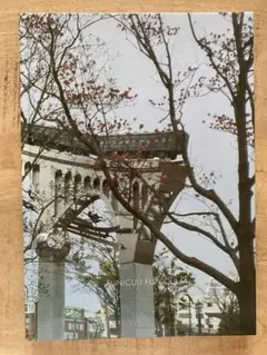 【サイン入】楢橋朝子 写真集「FUNICULI FUNICULA」のサムネイル