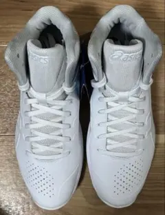 Item thumbnail for item d7b4f85e-b3f2-4cf1-8c8d-1089301132ac