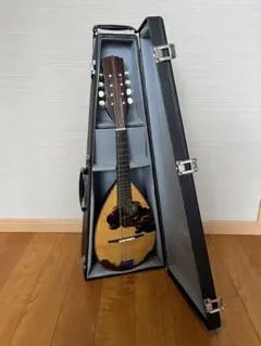 激レア! S.Watanabe No.250 マンドラ 弦楽器 ケース付属 2026年最新】マンドリン s.watanabeの人気アイテム - メルカリ