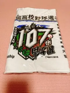 横浜高校野球部 第108回全国高校野球選手権記念タオル2026夏 織田世代