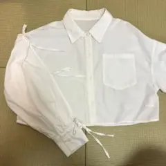 INGNI リボンスリーブ ブラウス 長袖 スリットスリーブ クロップド