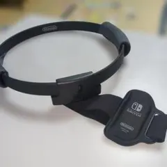 Switch リングフィット リングコン レッグバンド