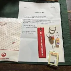【新品未使用】JAL 限定オリジナルキーホルダーのサムネイル
