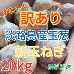 淡路島産 新玉ねぎ M～2L秀品 20kg 早生品種 七宝 70個前後 - メルカリ