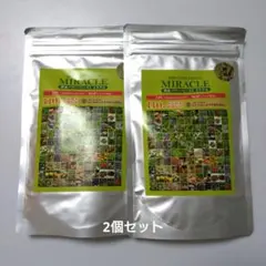 DDS SUPPLEMENT 酵素パワーペースト 2個セット - メルカリ