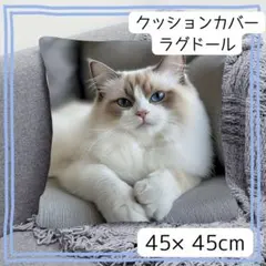 クッションカバー ネコ　ラグドール　猫　45×45 可愛い　インテリア　癒し