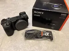 SONY α6600 ボディ ミラーレス一眼カメラ ハヤテ SONY α6600 ボディ ミラーレス一眼カメラ ハヤテ様専用 - メルカリ