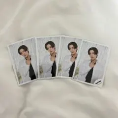 SnowMan 目黒蓮 ミニフォト