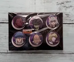 HUNTER×HUNTER ハンターハンター 缶バッジセット　キメラアント編