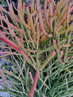 Yuki様 リクエスト 3点 まとめ商品