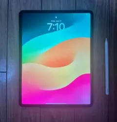 iPad Pro 12.9インチ 第3世代 256GB,Apple Pencil