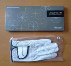 【B】アシアナ航空 ゴルフグローブ メンズ M