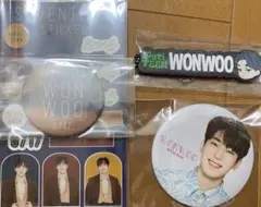 SEVENTEEN  સભ્યો