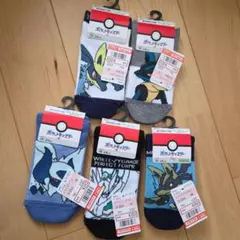 ポケモン靴下5足セット19～24cm