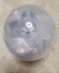 Item thumbnail for item 5e132297-fbca-4dc4-9ee5-0628de7f84c4