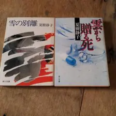 Item thumbnail for item 67f929b5-2172-446c-91b6-75c93d5c5764