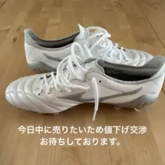 2026年最新】モレリアネオ3シルバーの人気アイテム - メルカリ